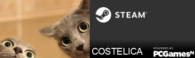 COSTELICA Steam Signature
