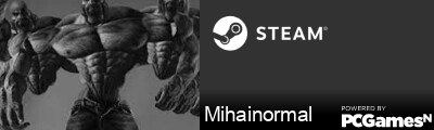Mihainormal Steam Signature