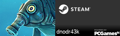 dnodr43k Steam Signature