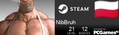 NibBruh Steam Signature