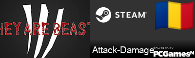 Attack-Damage Steam Signature