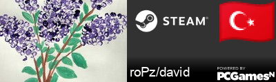 roPz/david Steam Signature