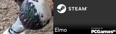 Elmo Steam Signature