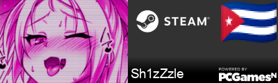 Sh1zZzle Steam Signature