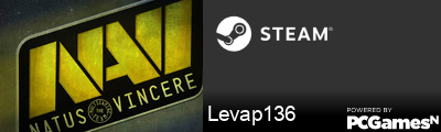 Levap136 Steam Signature