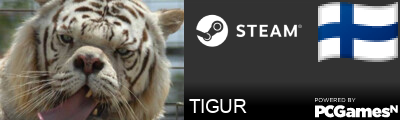 TIGUR Steam Signature