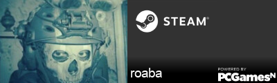 roaba Steam Signature