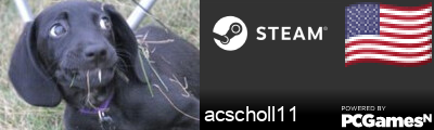 acscholl11 Steam Signature