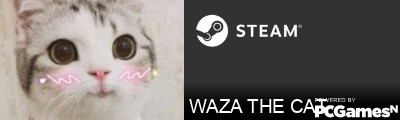 WAZA THE CAT Steam Signature