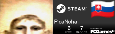 PicaNoha Steam Signature