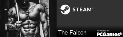 The-Falcon Steam Signature