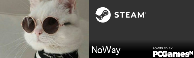 NoWay Steam Signature