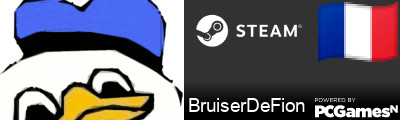 BruiserDeFion Steam Signature