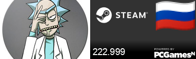 222.999 Steam Signature