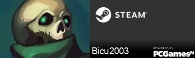 Bicu2003 Steam Signature