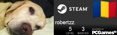 robertzz Steam Signature