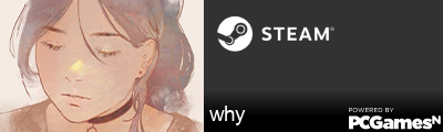 why Steam Signature