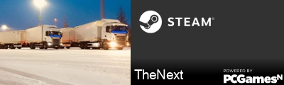 TheNext Steam Signature