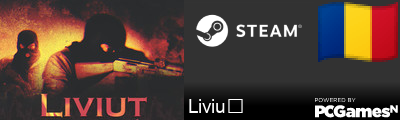 Liviuț Steam Signature