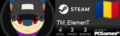 TM_ElemenT Steam Signature