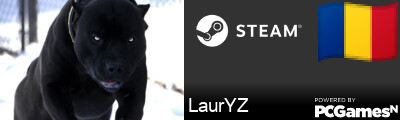 LaurYZ Steam Signature