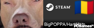 BigPOPPA/HamHam Steam Signature