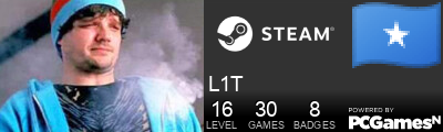 L1T Steam Signature