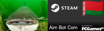 Aim Bot Com Steam Signature