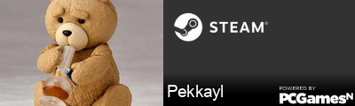 Pekkayl Steam Signature