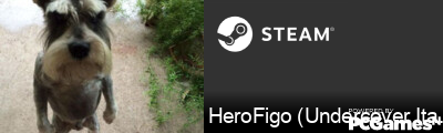 HeroFigo (Undercover Italian) Steam Signature