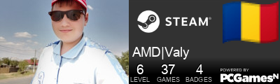 AMD|Valy Steam Signature
