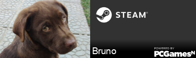 Bruno Steam Signature