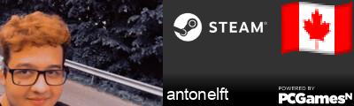 antonelft Steam Signature