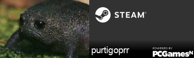 purtigoprr Steam Signature