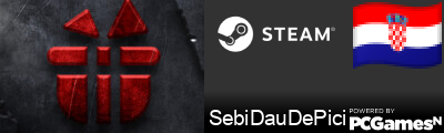 SebiDauDePici Steam Signature