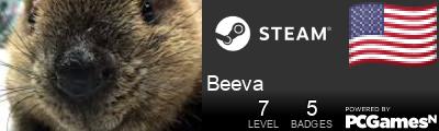 Beeva Steam Signature