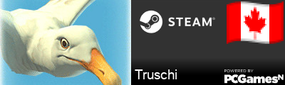 Truschi Steam Signature
