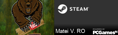 Matei V. RO Steam Signature
