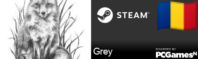 Grey Steam Signature