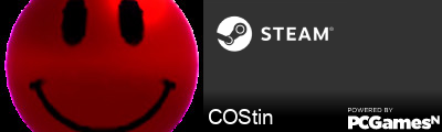 COStin Steam Signature
