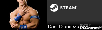 Dani Olandezu Steam Signature