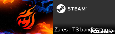 Zures | TS banditcamp.com Steam Signature