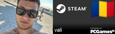 vali Steam Signature