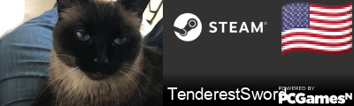 TenderestSword Steam Signature