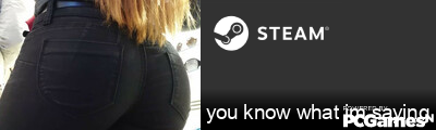 you know what im saying Steam Signature