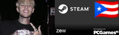 zew Steam Signature