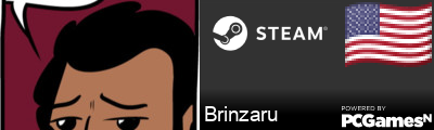 Brinzaru Steam Signature