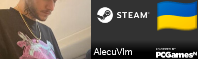AlecuVlm Steam Signature