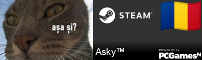 Asky™ Steam Signature