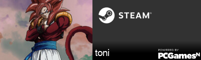 toni Steam Signature